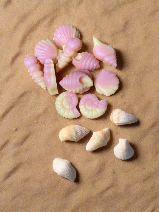 Seashells